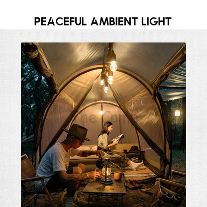 Naturehike Camping Pull Switch LED Light USB / AAA Battery Hanging Lantern Tent Lamp Portable Outdoor IP44 Waterproof